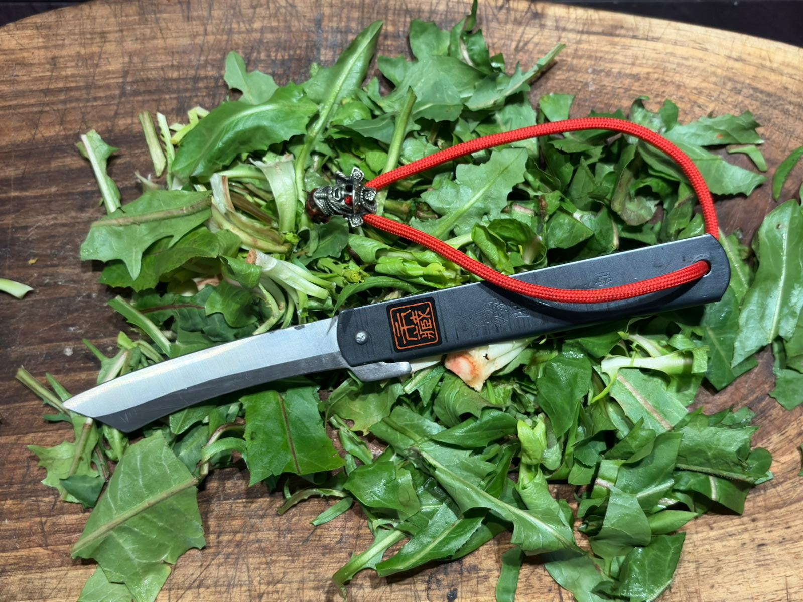 Preparing wild radicchio with a Higonokami knife