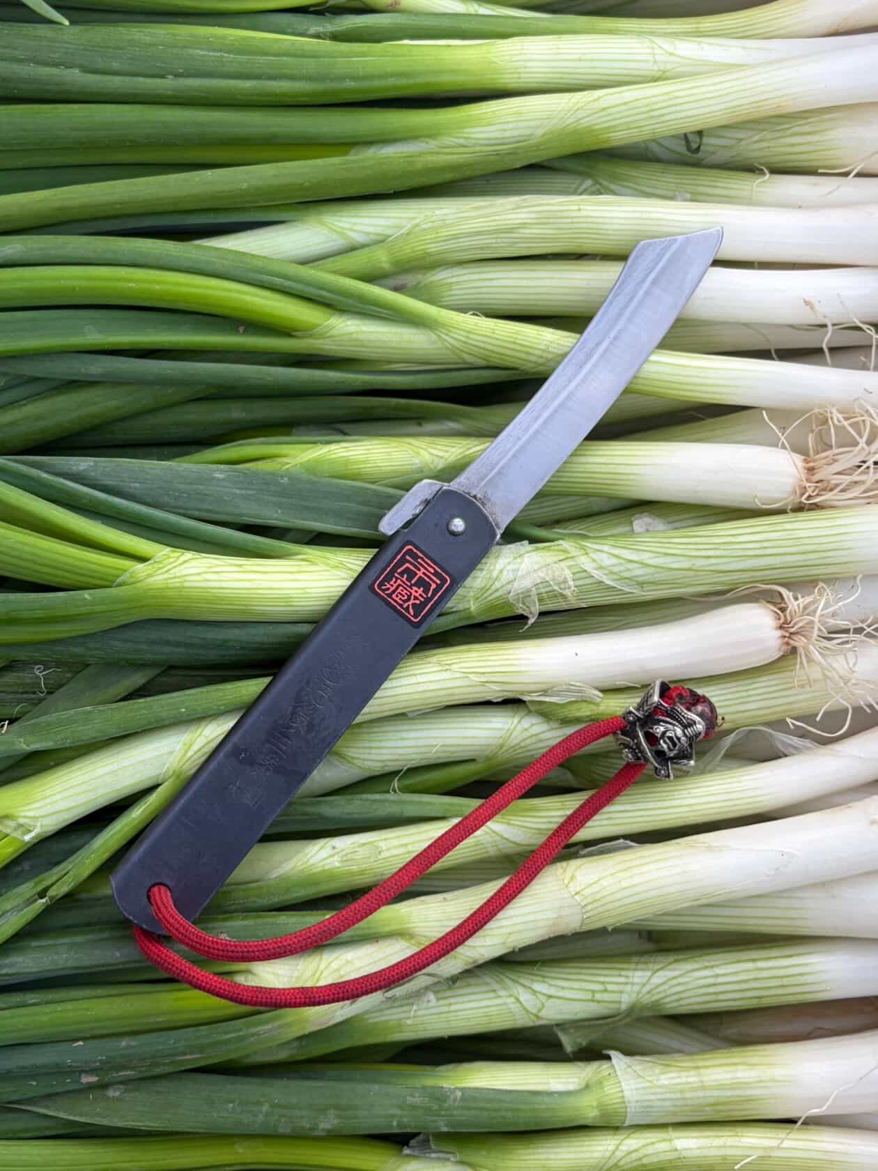 Ichizo Honpo Higonokami resting on bundles of fresh spring onions