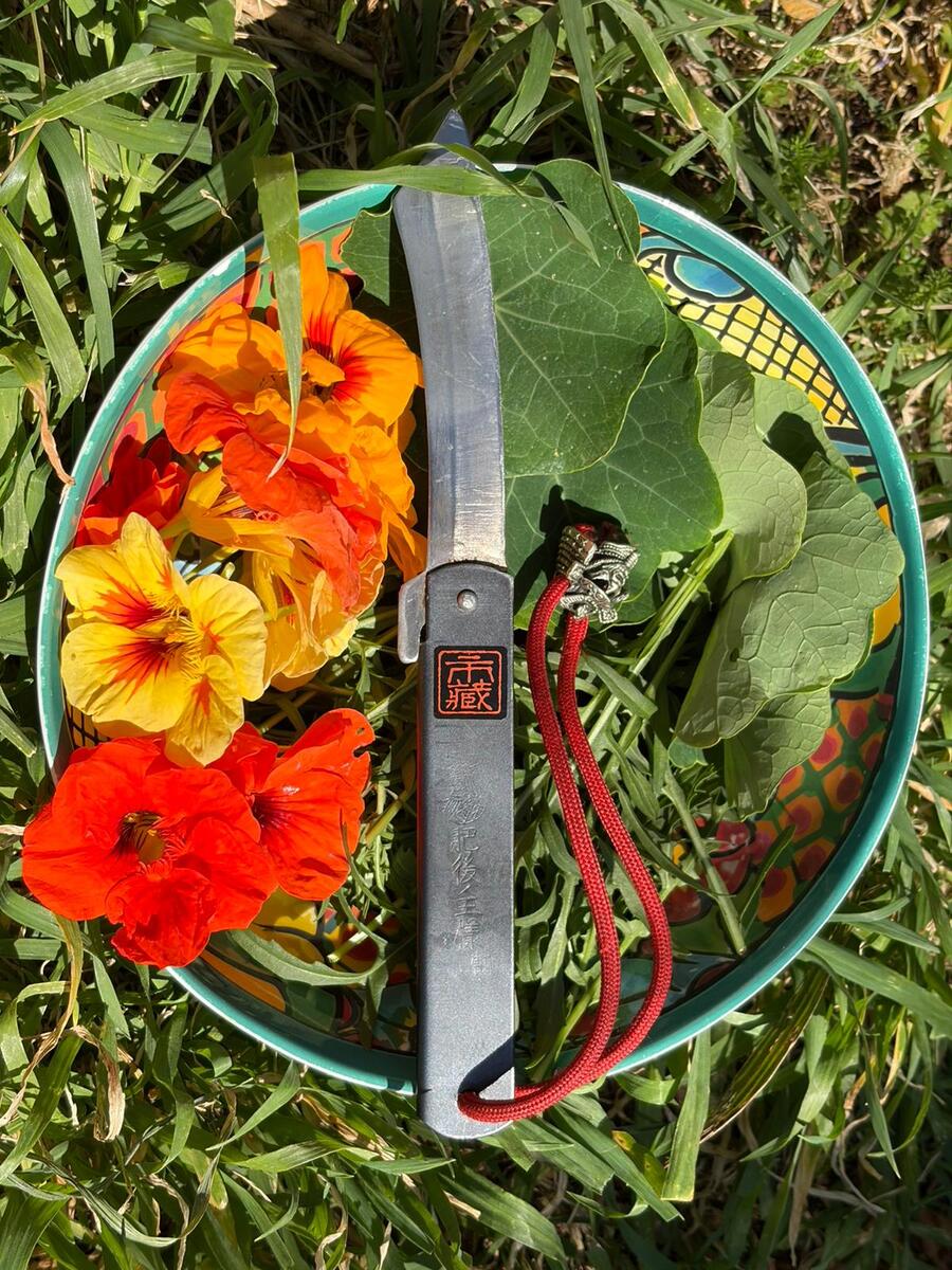 Nasturtium flowers and leaves in an outdoor bowl with an Ichizo Honpo Higonokami resting beside them, red cord and samurai charm catching the light