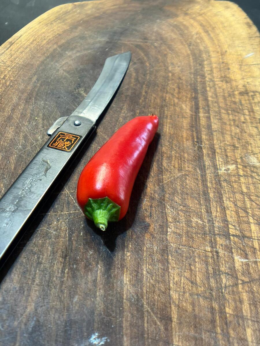 A red chili pepper beside an Ichizo Honpo Higonokami